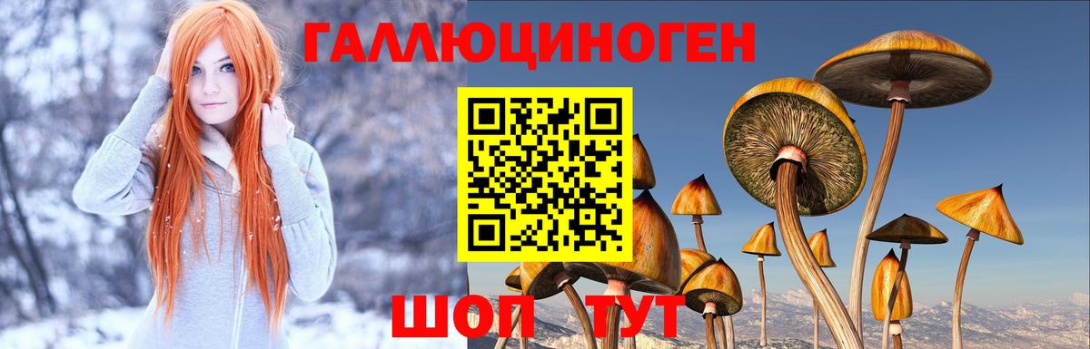 наркота  Галлюциногенные грибы Psilocybine cubensis  Вход с VPN  Котовск 
